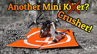 Unstoppable The Latest Mini Drone Killer has been Upgraded [upl. by Anead]