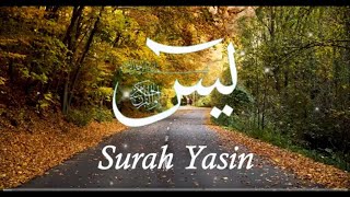 SURAH YASIN  The heart of the Quran  Mishary Rashid Alafasy Alquraan [upl. by Oilasor550]