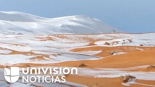 Una inusual capa de nieve cubre por unas horas el desierto del Sahara en Argelia [upl. by Zsazsa]