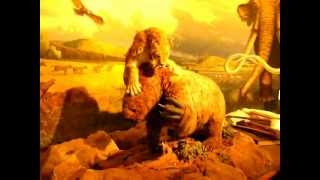 Saber Tooth Cat and Giant Sloth Animatronics at La Brea Tar Pits [upl. by Cath195]