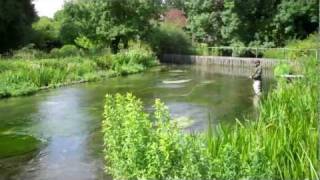 River Itchen fly fishing [upl. by Isa736]