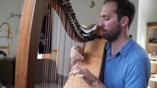 The Rectory Reel by Patrick Davey arr Grainne Hambly  Celtic Harp [upl. by Oigufer]