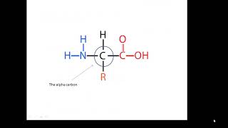 BTEC Applied Science Unit 3 Enzymes 1 [upl. by Astiram]