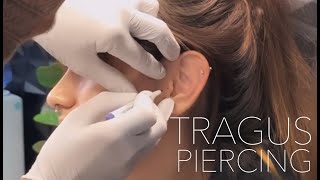 Tragus Piercing Experience  UrbanBodyJewelrycom [upl. by Eisus]