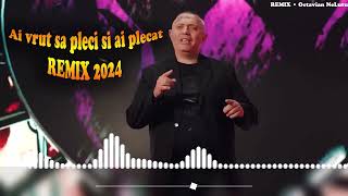 Nicolae Guta ❌️ Ai vrut sa Pleci si ai plecat ❌️ REMIX 2024 [upl. by Engleman]