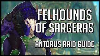 FELHOUNDS OF SARGERAS  Normal  Heroic Antorus Raid Guide  WoW Legion [upl. by Ordway]