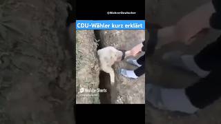 CDUWähler kurz erklärt🤭👍🏻 afd memes deutsch deutschland shorts politik ytshorts satire cdu [upl. by Aronson574]