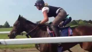 Glorious Goodwood Magnolia Cup training at Tom Dascombes yard [upl. by Yahs]