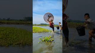 Amazing😲 Polo Fishing In Riverside Bill🖤part03fish trending shorts shortfeed [upl. by Airdnola]