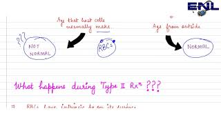 Type 2 Hypersensitivity Reaction  Microbiology [upl. by Neerhtak645]