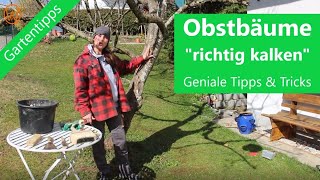 Obstbäume quotrichtig kalkenquot  Tipps amp Tricks [upl. by Winsor]