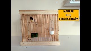 Yaptığım Kafese Kuş Yerleştirdim [upl. by Clarabelle]