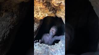 Inside the Baobab tree to look for family lunch africa viral villagelife [upl. by Erda]