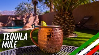 How to Perfect the Tequila Mule A TequilaInfused Moscow Mule [upl. by Llerret]