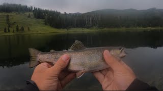 Ultralight Trout Fishing a REMOTE Alpine Lake [upl. by Notlok]