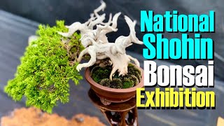 UK National Shohin Bonsai Exhibition 2022 Markham Grange Doncaster [upl. by Garate]