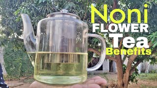 Noni flowers health benefits and how to use them [upl. by Lotti]