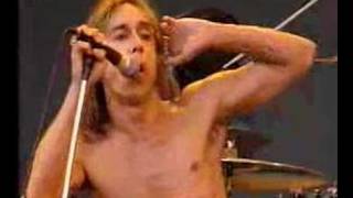 iggy pop lust for life live [upl. by Mylor]