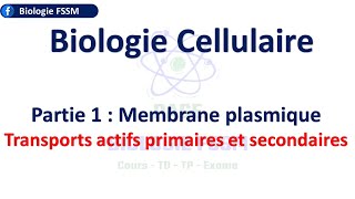 Biologie Cellulaire FSSM  Transports actifs primaires et secondaires [upl. by Nekcerb]