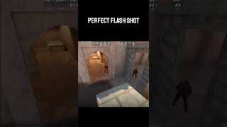 How to use the flash bomb in CS GO game shorts ytshorts [upl. by Pattani296]