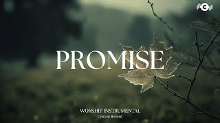 PROMISE  Soaking worship instrumental  Prayer and Devotional [upl. by Aierdna]