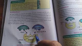 Characteristics of Enzymes and Specificity of Enzymes Biology Grade 9 Unit 6 Enzymes KP Textbook [upl. by Anrat287]