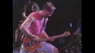 Van Halen  Toronto  8191995 [upl. by Freytag595]