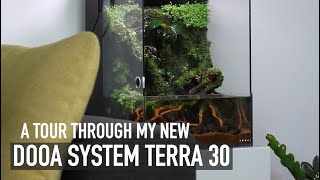 Fresh new planted DOOA System Terra 30 paludarium [upl. by Hgielac283]