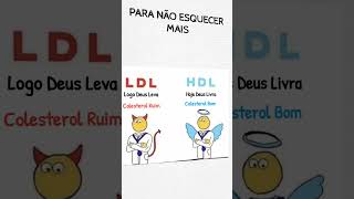 Colesterol bom e colesterol ruim  HDL vs LDL colesterol [upl. by Ennayhs947]