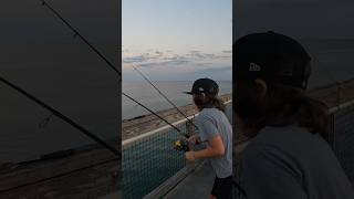 Fishing from the Navarre Pier and Caught this 🎣 fishing oceanfishing [upl. by Modeste]