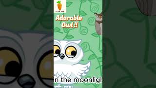 Adorable Owl  Fun and Learning for Children  Cuteni Song For Kids  Animal shorts [upl. by Isyad]