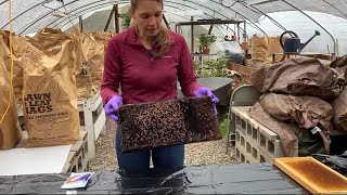 Diagnosing American Foulbrood in Honey Bee Colonies [upl. by Dyche]