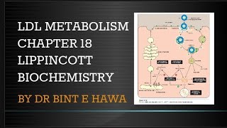 METABOLISM OF LDL PARTICLES  CHAPTER 18  BIOCHEMISTRY MADE EASY BY DR BINT E HAWA [upl. by Koressa]