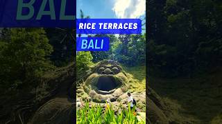 💜 BALI Ubud 💜 Tegallalang Rice Terraces [upl. by Whallon300]