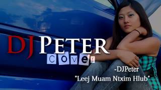 Leej Muam Ntxim Hlub  DJPeter Cover [upl. by Ettesyl]