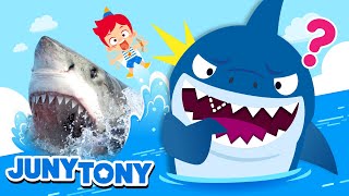 ¡Tiburones en Acción  Datos Curiosos sobre Tiburones  Canciones Infantiles  JunyTony en español [upl. by Ffej613]