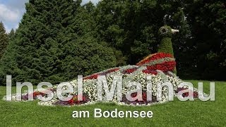 Bodensee die Insel Mainau ein Rundgang über die Insel mit einzigartiger großartigen Blumenbracht [upl. by Zirtaeb481]