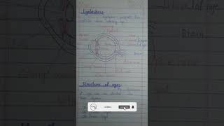 Class 10th Biology  Chapter 3rd  Receptors In Humans 1 EYE  biological instruction [upl. by Tevis]