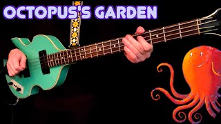 Octopuss Garden  Bass Cover  Pauls Part Isolated [upl. by Euqina489]