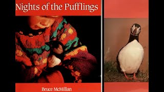 Nights of the Pufflings by Bruce McMillan [upl. by Kaufmann673]