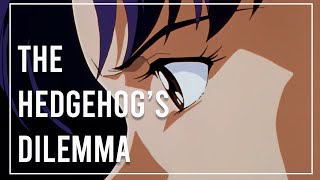 Understanding The Hedgehogs Dilemma  Video Essay [upl. by Eleirbag]