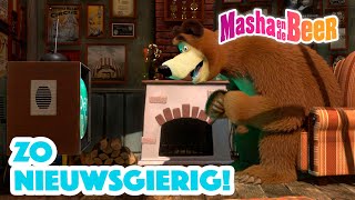 Masha en de Beer 👱‍♀️🐻 Zo nieuwsgierig 😄 Aflevering collectie [upl. by Mahmoud]