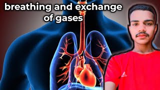 HOW HUMAN BREATHS  part1  Breathing amp Exchange of GASES [upl. by Janella453]