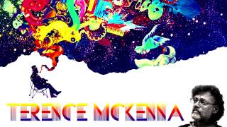 Terence McKenna  Why do we have Imagination [upl. by Eerbua]