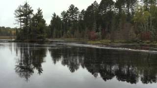 Beaver Dam Collapse [upl. by Pirzada431]