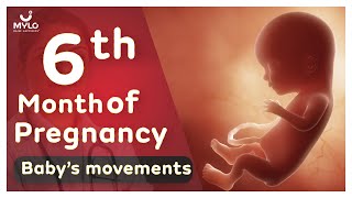 6th Month Of Pregnancy Baby Movements  6th Month Of Pregnancy Baby Growth  Mylo Family [upl. by Itsym]