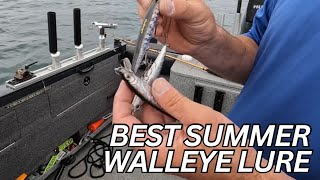 Walleye FISHING HOT Summertime BAITS [upl. by Mackenie70]