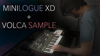 Minilogue XD amp Volca Sample Combo Test 1 [upl. by Aubrie]