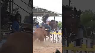 equestrian horseriding cowgirl horselover chonafact youtubeshorts shortvideo trending fact [upl. by Nireil]