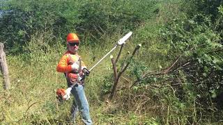 Testando a Motopoda Stihl no controle da Jurema [upl. by Attoynek317]